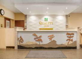 Quality Inn 5