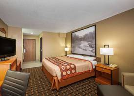 Super 8 by Wyndham Ottawa 5