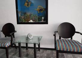 Salvia Cancun Aparts 2