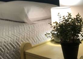 New Cozy Apartment, Zona 4 2