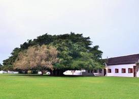 De Hoop Collection 5