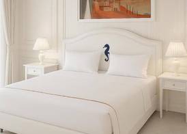 GRAND HOTEL OLIVIER PRINCe 5