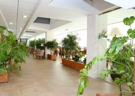 ON Family Islantilla 4