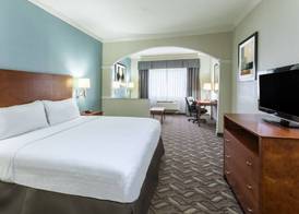 Holiday Inn Express & Suites LAKE CHARLES by IHG 4