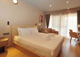 Ionian Crown Suites in Barbati 2