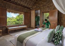 The Mesare Jungle Resort 4