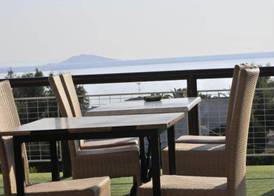 Aristotelis 5