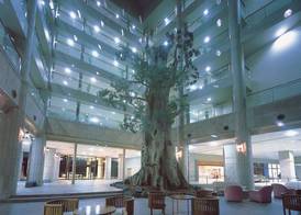 Yakushima Iwasaki Hotel 2