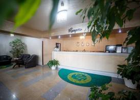 Hotel Ozana 3