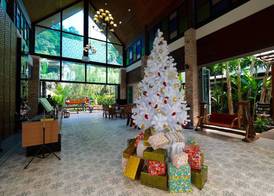 HULA HULA RESORT l truly tropical and fun wellness 2
