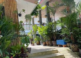 Lotus Bleu Resort & Restaurant 2