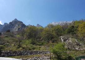 Hotel Garganta del Cares 5