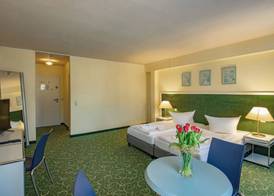 Erzgebirgshotel Freiberger Höhe 5