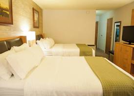 Holiday Inn SPEARFISH-CONVENTION CENTER by IHG 3