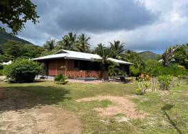 Heliconia Grove 4