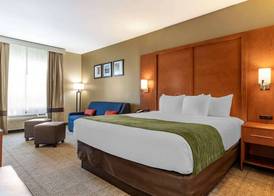 Comfort Inn & Suites Orangeburg 5