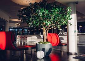 Comfort Hotel Strasbourg Athena Spa 4