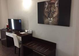 Hotel Fontana Plaza 3