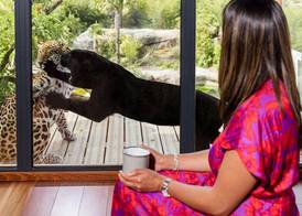 Parrot World - Les Lodges 2