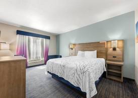 Best Western Plus San Antonio East Inn & Suites 4