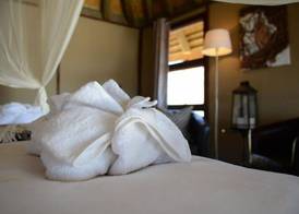 Hoodia Desert Lodge 5