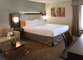 Holiday Inn YOUNGSTOWN-SOUTH (BOARDMAN) by IHG 5