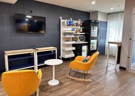 Spark by Hilton Guilford 3