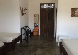 Summer Cottage 4