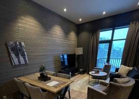 Ski-in out Apartment in Trysil Alpine Lodge with Balcony, 2 Baths & EV 5