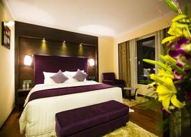 Sterlings Mac Hotel 3