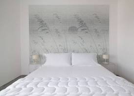 Albergo Minerva 4