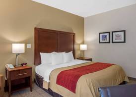 Comfort Inn Chester - Richmond South 4