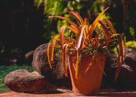 Palm Royale Cairns 2