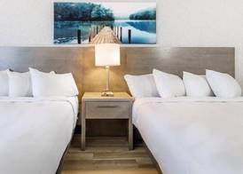 Repotel Levis 3