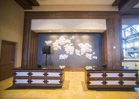 Gaylord Rockies Resort & Convention Center 3