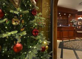 Hotel Primula 2