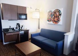 Holiday Inn Express & Suites SAN ANGELO by IHG 5