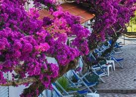 Hotel Parco Cartaromana 4