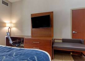 Comfort Suites Gainesville 5