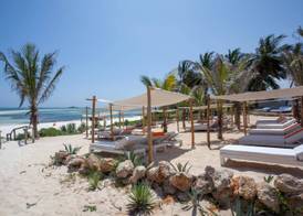 Gecko Resort 3