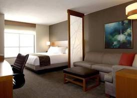 Hyatt Place Detroit/Novi 5