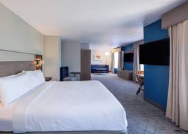 Holiday Inn Express & Suites TURLOCK-HWY 99 by IHG 3