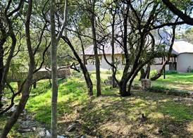Warthogs Bush Lodge 5