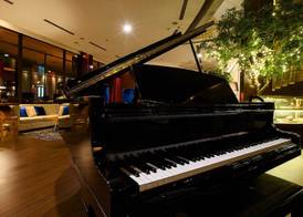 The Arista Hotel Palembang 2