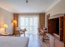 IC Hotels Airport 5