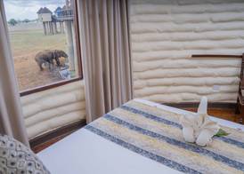 Salt Lick Safari Lodge 4