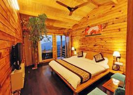 Treehouse Resort 5
