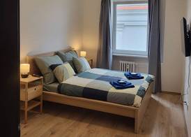 City Center Apartments - Moderna Brno Římské náměstí II 3