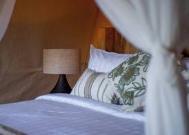 Dejama Glamping Resort Lombok 2