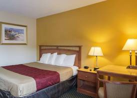 Econo Lodge Petersburg - Fort Lee 5